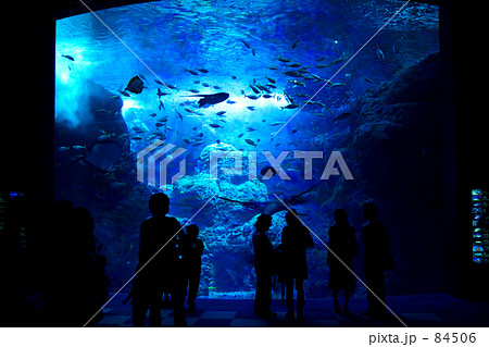 SCENERY / aqualium No.1 SCENERY / aqualium No.1 84506