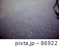 あめんぼ 86922