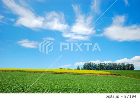 マイルドセブンの丘Ⅱ マイルドセブンの丘Ⅱ 87194