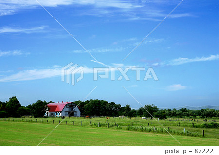 牧場 牧場 87222
