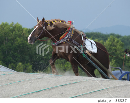 ばんえい競馬 ばんえい競馬 88327