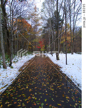 晩秋イメージ 晩秋イメージ 88395