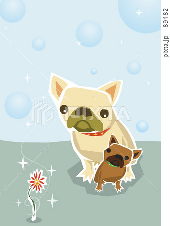 花を見つめる犬の親子 89482