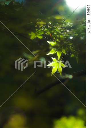 ゴースト遊び 89992