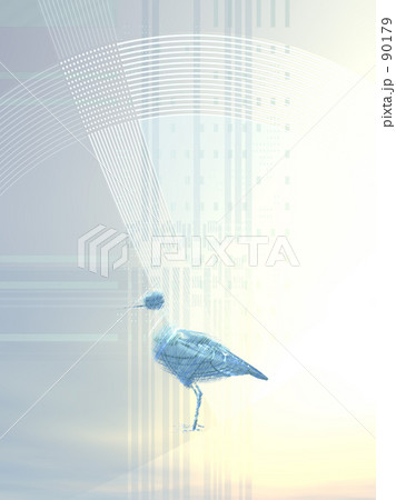 レントゲンの鳥 レントゲンの鳥 90179