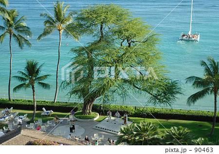 ワイキキビーチ 90463