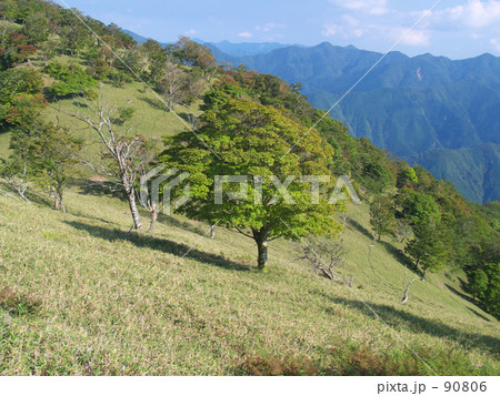 山頂は公園のよう 山頂は公園のよう 90806