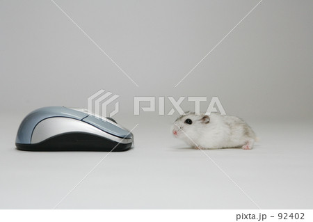 似てるね 似てるね 92402