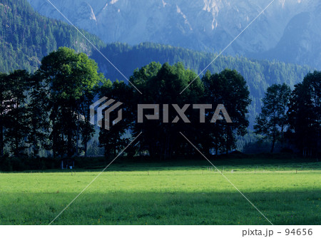 小さな山麓の林 小さな山麓の林 94656