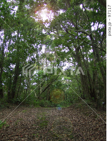 無題 -金作原04- 97117