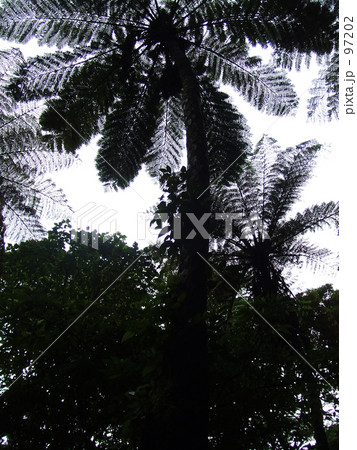 たちはだかるもの -金作原09- たちはだかるもの -金作原09- 97202