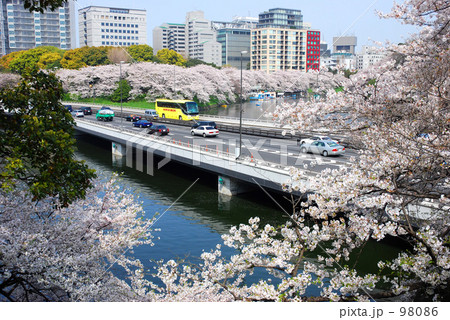 千鳥が淵　03 98086