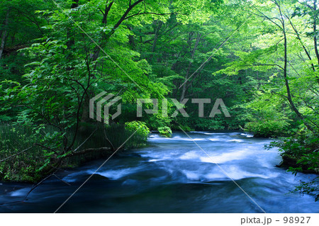 奥入瀬渓流Ⅷ 98927