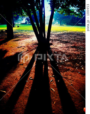 Long shadow and nature 3 100453