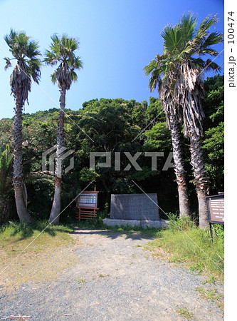 椰子の実の詩碑 100474