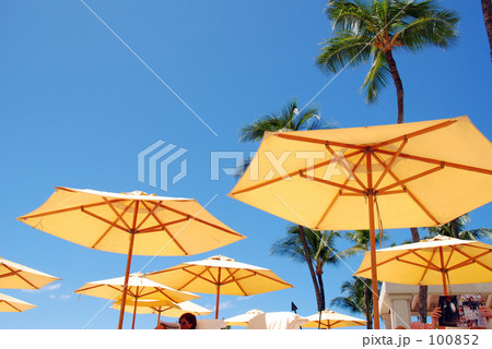 黄色いパラソル 100852