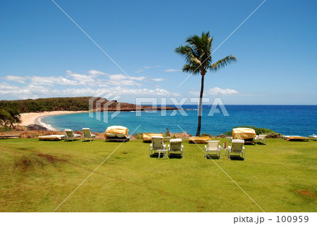 フロポエビーチ 100959