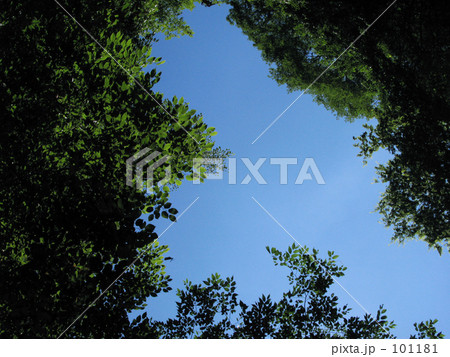 源流夏空 源流夏空 101181