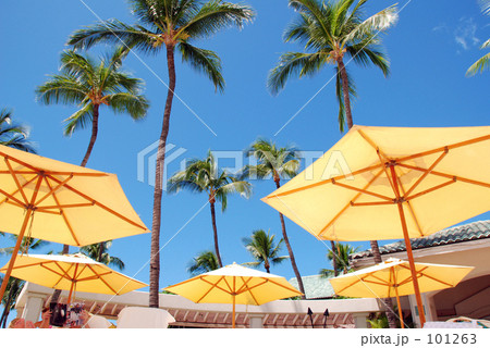 黄色いパラソル 黄色いパラソル 101263