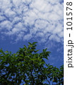 木と空と雲 101578