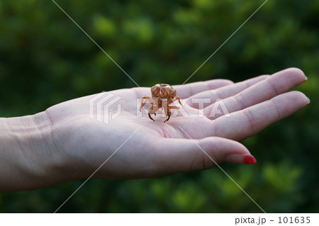 ちょっとこわい 101635