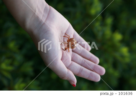 実は・・・ 101636