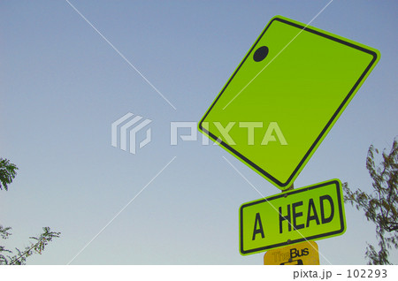 Ａ　ｈｅａｄ 102293