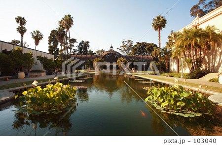 バルボアパーク バルボアパーク 103040