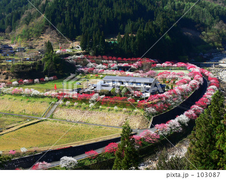 花桃の里 103087