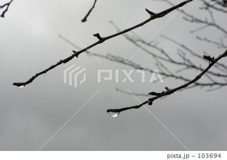 冬の雨 103694