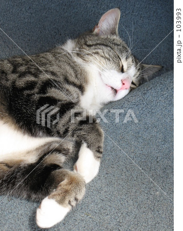 うらめしや～ 103993