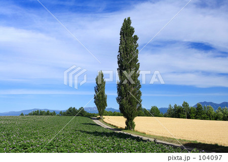 赤羽の丘Ⅱ 104097