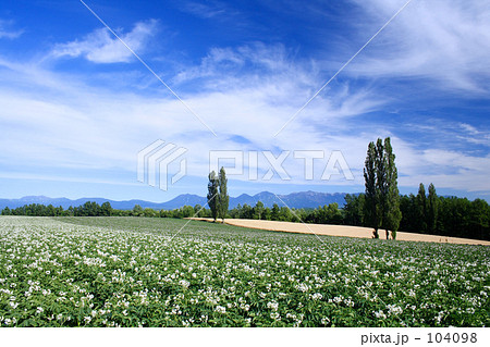 赤羽の丘Ⅲ 104098