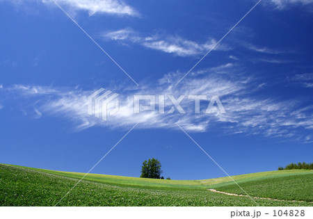 爽空 爽空 104828