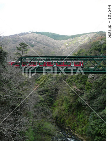 桜と登山電車 105544