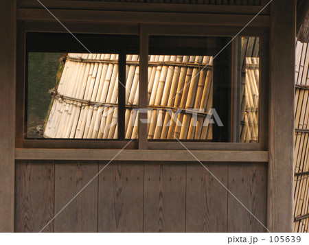 神宮の大杉 105639