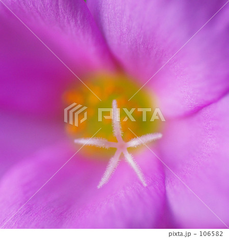 白い大の字 106582