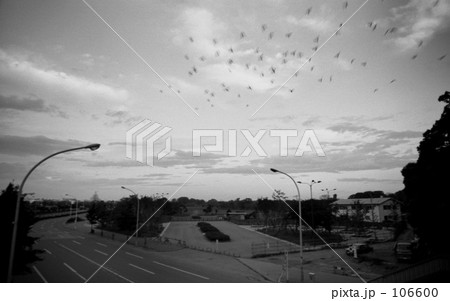 原宿 早朝の代々木公園正門 １９７０ 昭和４５年の写真素材