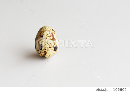 うずらたまご 106602