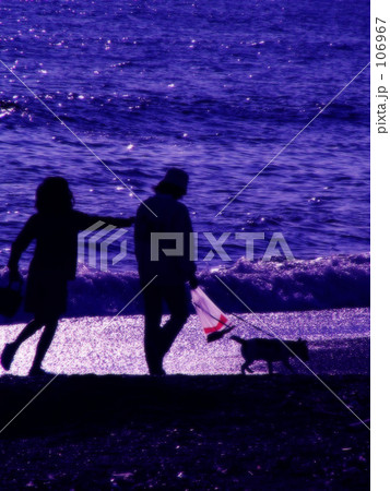 海辺で犬とお散歩 106967