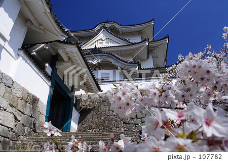 春の白鳳城 春の白鳳城 107782