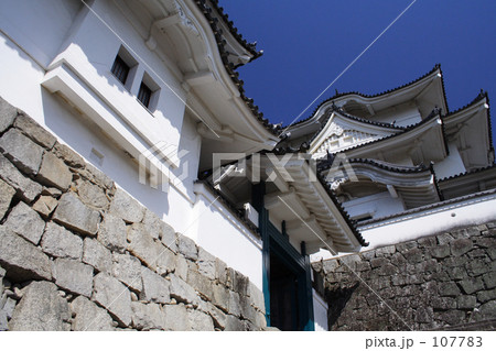 伊賀上野城 107783