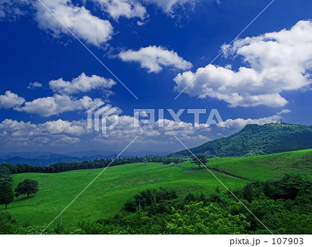 愛知県茶臼山高原 愛知県茶臼山高原 107903