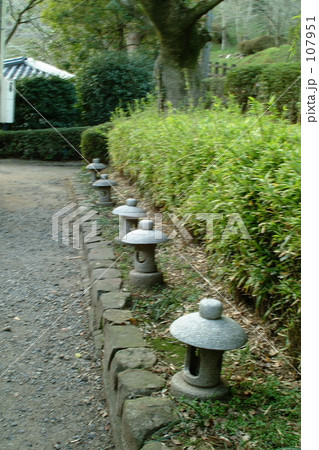 舞鶴公園の風景 107951