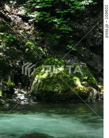 源流に光射す 108602