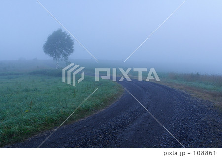 朝霧の中を 108861