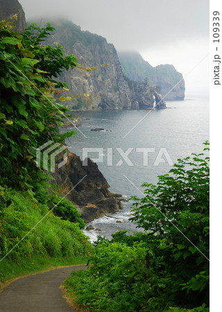 海へと続く道 109339