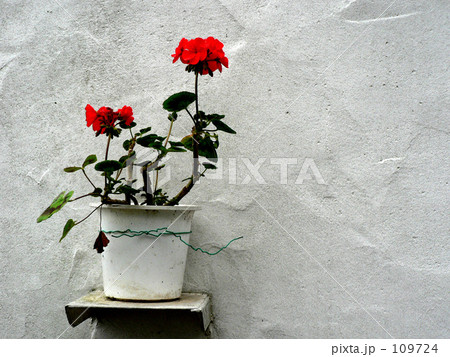 2007九州一周フォト014 109724