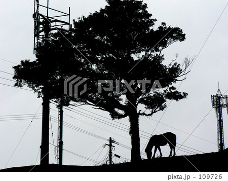 2007九州一周フォト016 109726