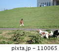 110065